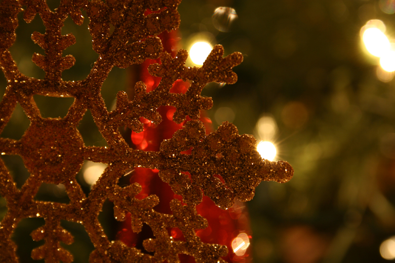 Illustration for article titled Photo Contest: Christmas Lights